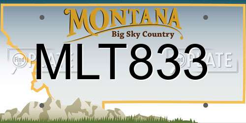 MLT833 Montana License Plate