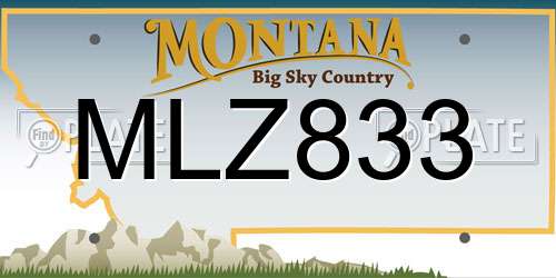 MLZ833 Montana License Plate