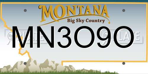 MN3O9O Montana License Plate