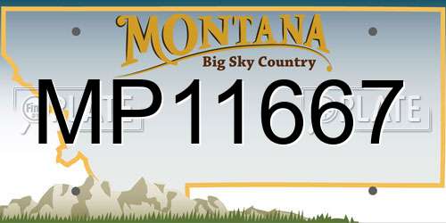 MP11667 Montana License Plate