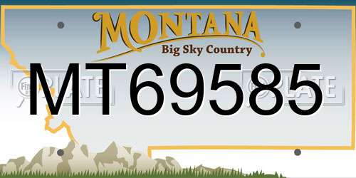 MT69585 Montana License Plate