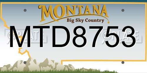MTD8753 Montana License Plate