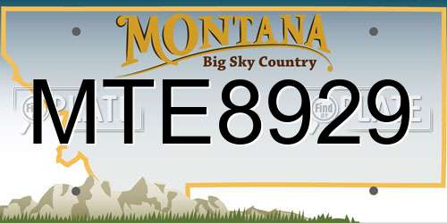 MTE8929 Montana License Plate