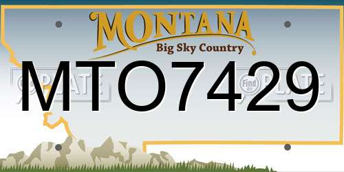 MTO7429 Montana License Plate