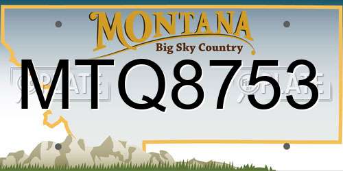 MTQ8753 Montana License Plate