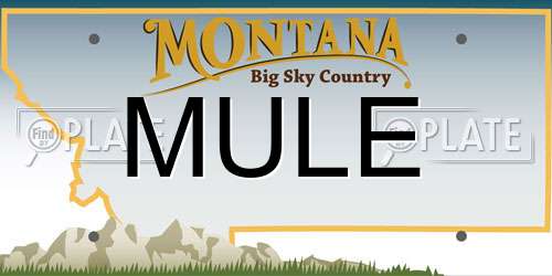 MULE Montana License Plate