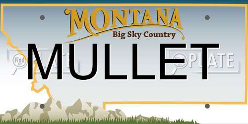 MULLET Montana License Plate