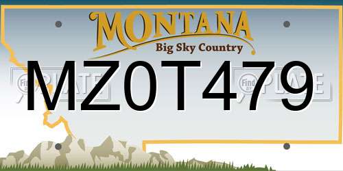 MZ0T479 Montana License Plate