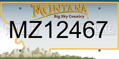 MZ12467 Montana License Plate