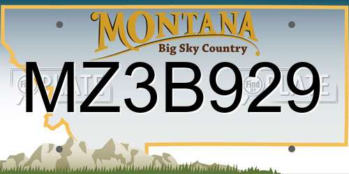 MZ3B929 Montana License Plate