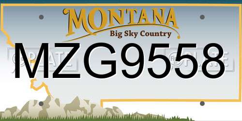 MZG9558 Montana License Plate
