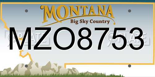 MZO8753 Montana License Plate