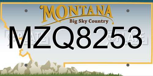 MZQ8253 Montana License Plate