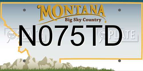 N075TD Montana License Plate