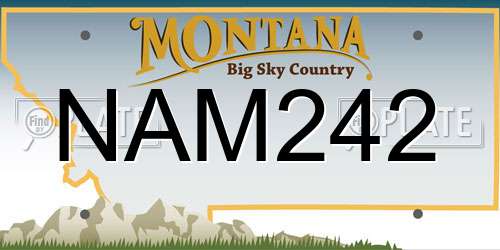 NAM242 Montana License Plate