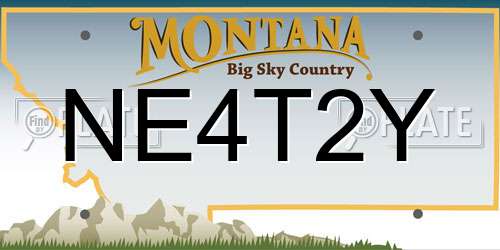 NE4T2Y Montana License Plate