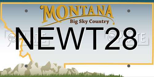 NEWT28 Montana License Plate