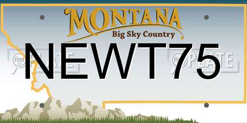 NEWT75 Montana License Plate