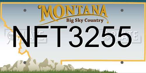 NFT3255 Montana License Plate