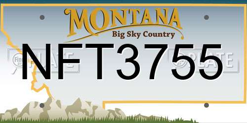 NFT3755 Montana License Plate