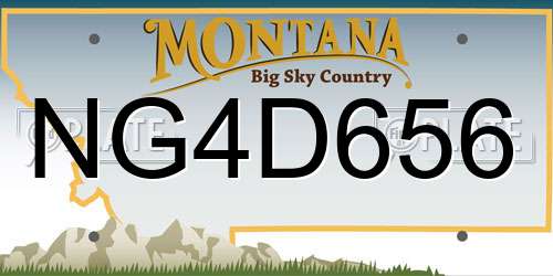 NG4D656 Montana License Plate