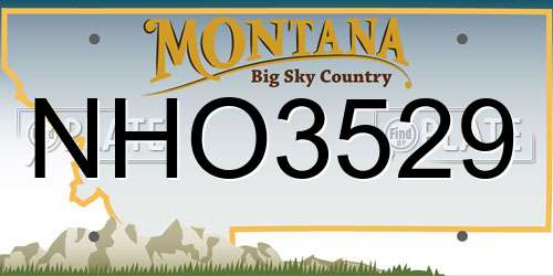NHO3529 Montana License Plate