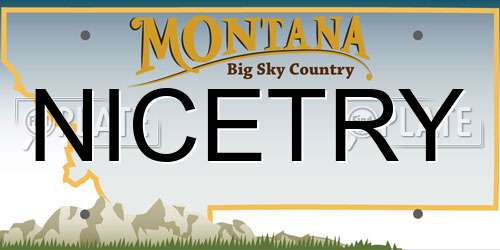 NICETRY Montana License Plate