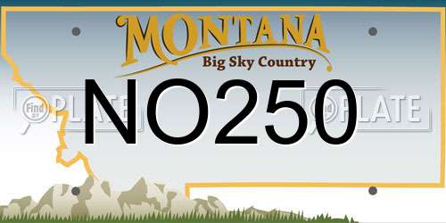 NO250 Montana License Plate