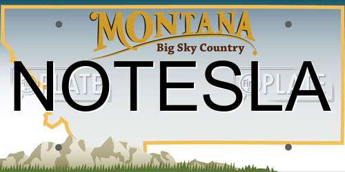 NOTESLA Montana License Plate