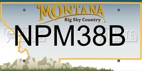 NPM38B Montana License Plate