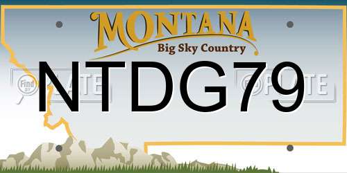 NTDG79 Montana License Plate