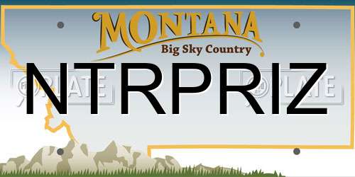 NTRPRIZ Montana License Plate