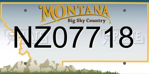 NZ07718 Montana License Plate