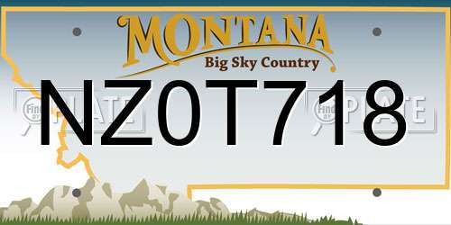 NZ0T718 Montana License Plate