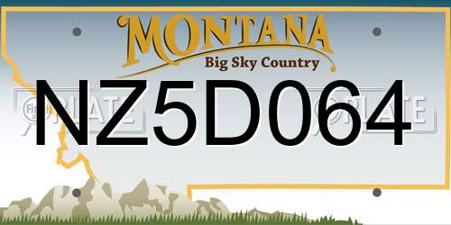 NZ5D064 Montana License Plate
