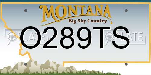 O289TS Montana License Plate