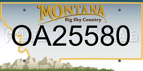 OA25580 Montana License Plate