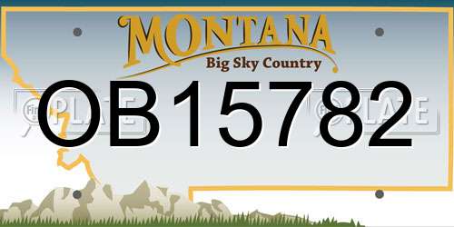 OB15782 Montana License Plate