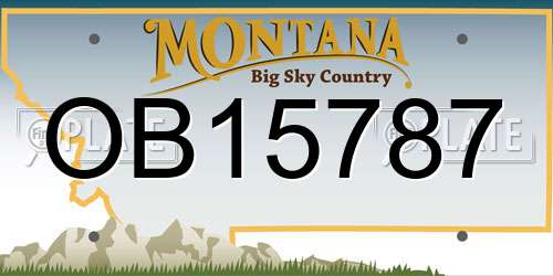 OB15787 Montana License Plate