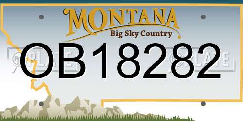 OB18282 Montana License Plate