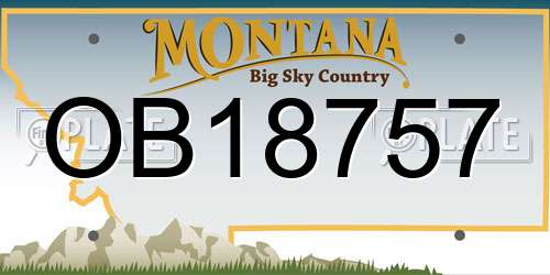 OB18757 Montana License Plate