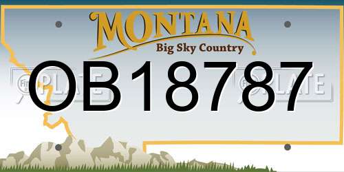 OB18787 Montana License Plate