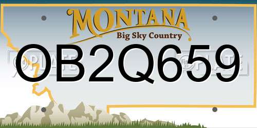 OB2Q659 Montana License Plate
