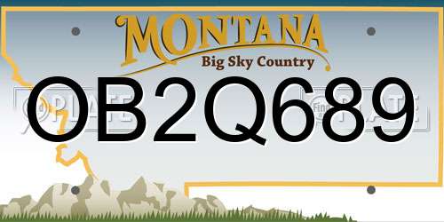 OB2Q689 Montana License Plate