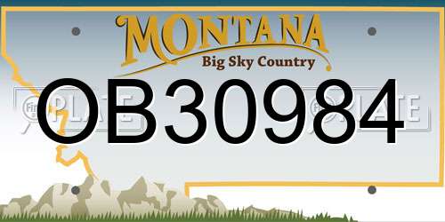 OB30984 Montana License Plate