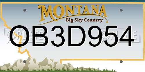 OB3D954 Montana License Plate