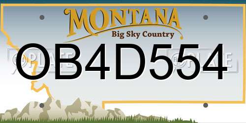 OB4D554 Montana License Plate