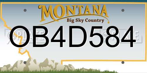 OB4D584 Montana License Plate
