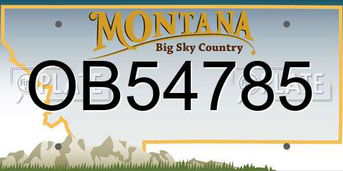 OB54785 Montana License Plate