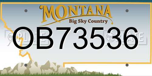 OB73536 Montana License Plate